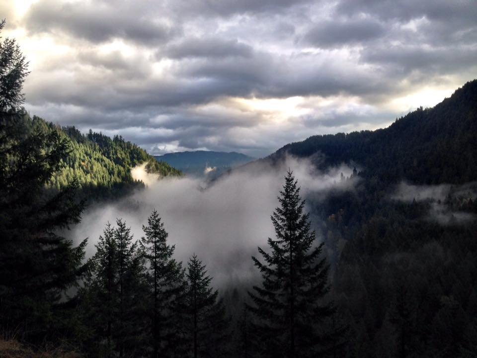 Middle Fork of the Willamette Winter Trout Fishing 2016