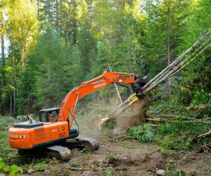 To lower the high areas, we had to remove some vegetation from the project area which we then built into log jams.