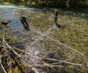 Lisa Kurian, USFS Hydrologist, and Audrey Squires, MFWWC Restoration Projects Manager, conduct pre-project monitoring. (Photo by Matt Helstab)